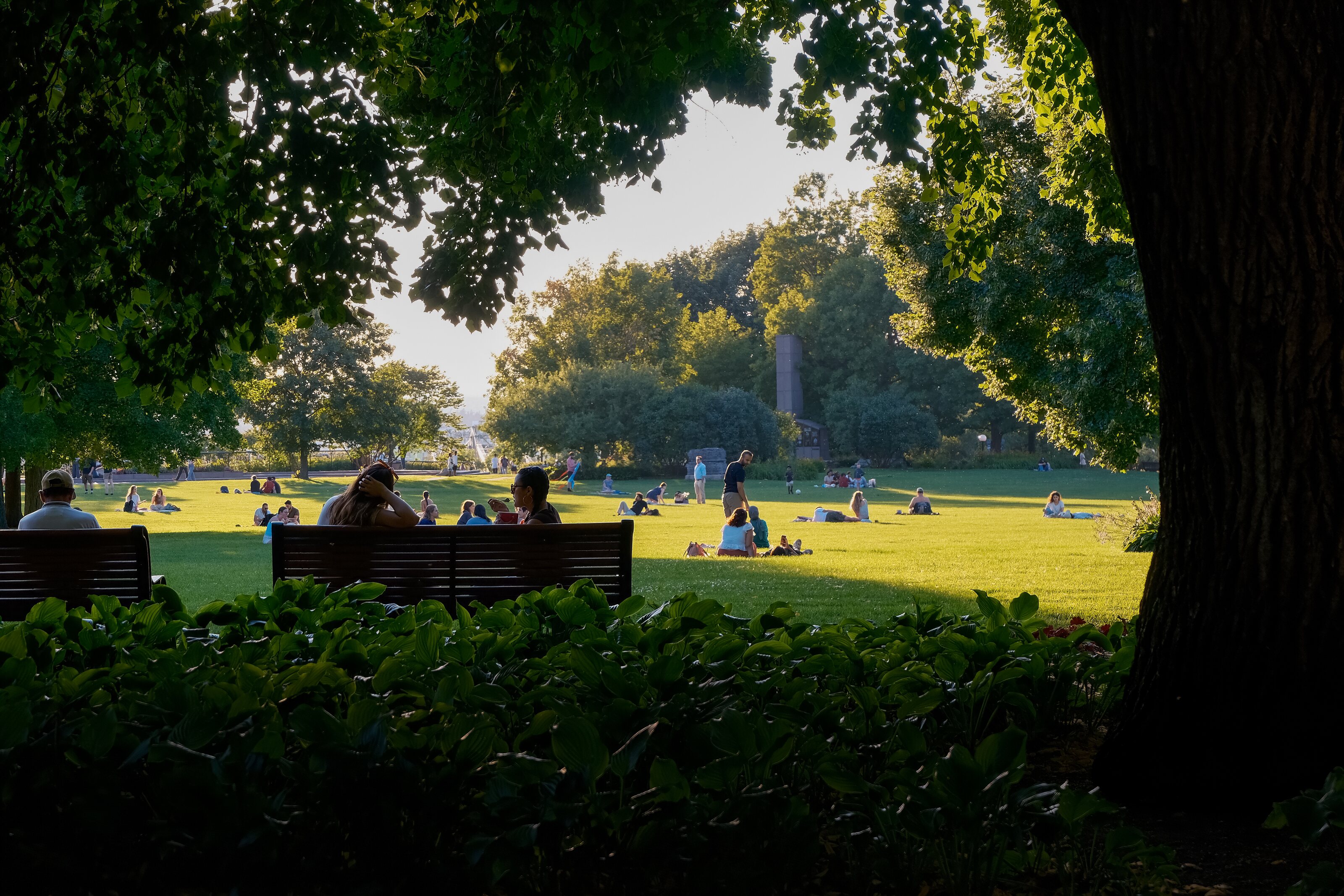 People resting in a sunlit Ottawa park