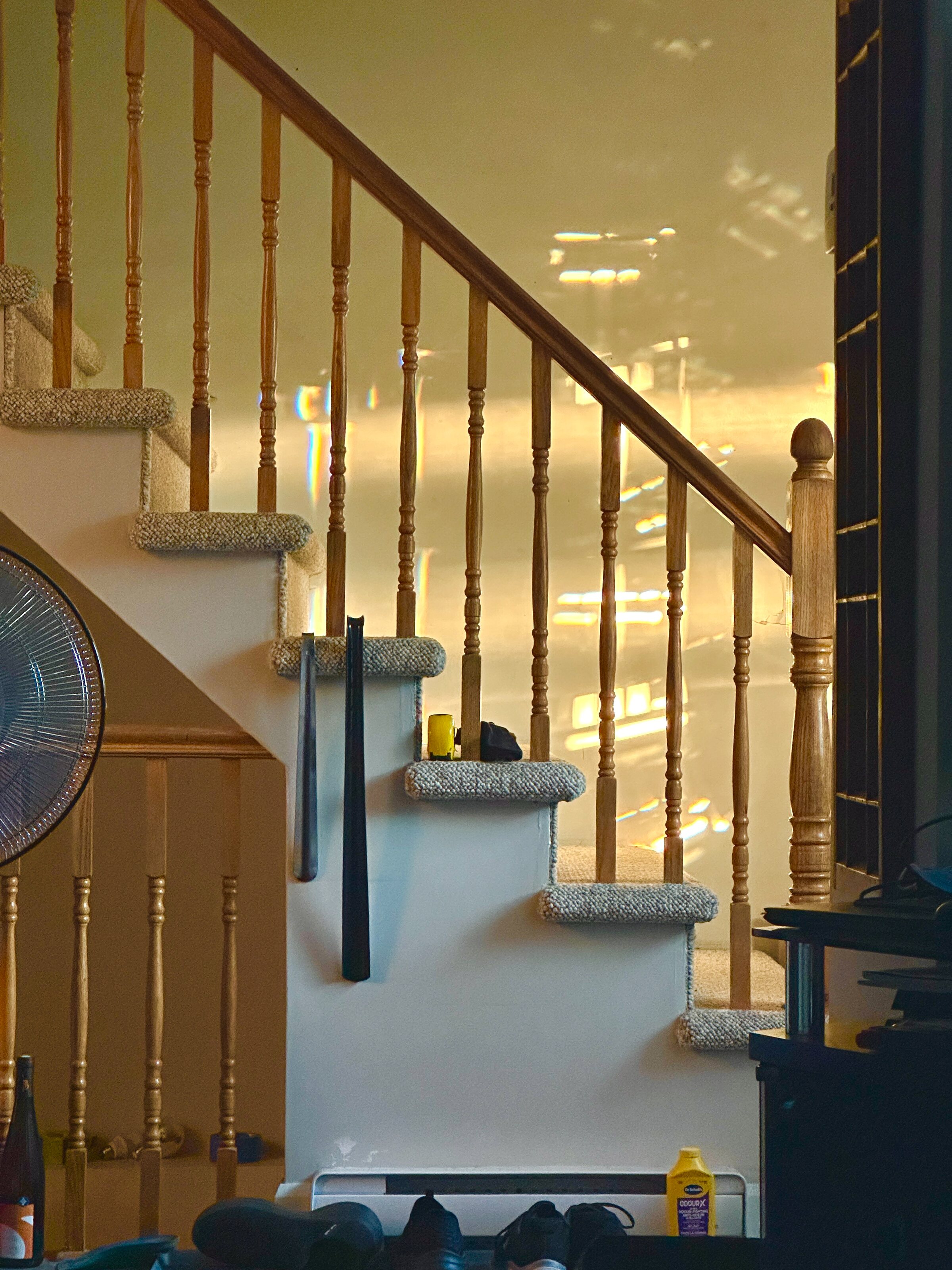 Warm sunlight falling across an interior staircase