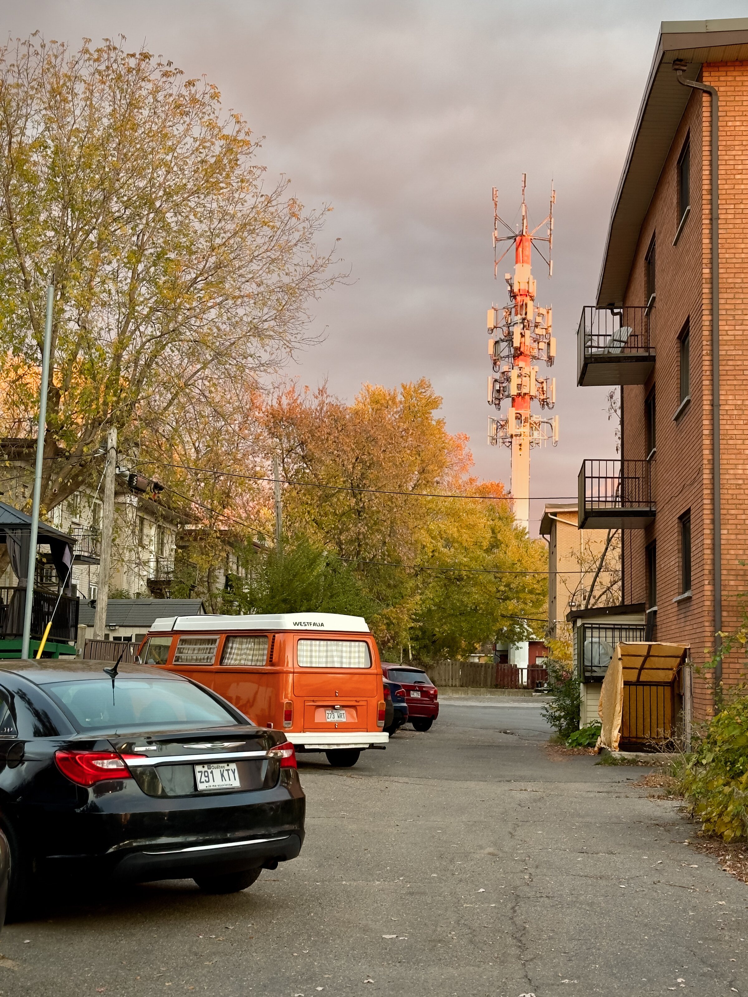 An autumn alley with parked cars and a communications tower